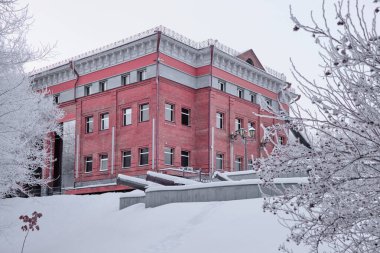 Khabarovsk Yerel Lore Müzesi 'nin etrafındaki karla kaplı ağaçlar sabah saatlerinde sağanak kar yağdıktan sonra. Karda ağaçlar. Rusya, Uzak Doğu