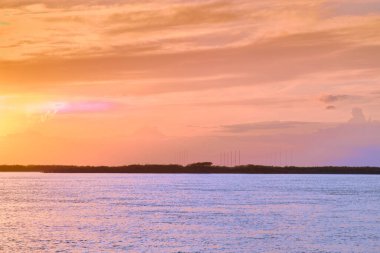 Khabarovsk 'taki Amur Nehri setinde gün batımı. Ufukta gün batımı var. Arka planda sonbahar ağaçlarının yaprakları.