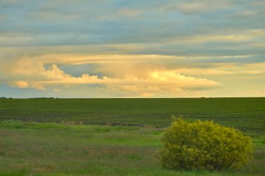 Rusya 'daki Blagoveshchensk şehrine giden asfalt bir yolun arka planında güzel bir günbatımı.