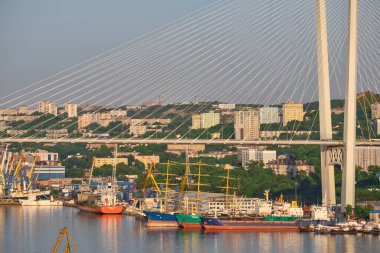 Vladivostok, Rusya - 11 Haziran 2020: Golden Swarm Bay 'deki köprünün akşam manzarası. Yazın deniz kenti plajı