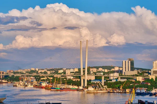 Vladivostok Rusia 2020 Vista Nocturna Del Puente Bahía Golden Swarm — Foto de Stock