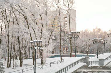 Khabarovsk Kültür ve Rekreasyon Parkı, Rusya Sabahın köründe yoğun kar yağışı sonrasında. Karda ağaçlar.