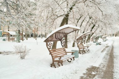 Khabarovsk Kültür ve Rekreasyon Parkı, Rusya Sabahın köründe yoğun kar yağışı sonrasında. Karda ağaçlar.