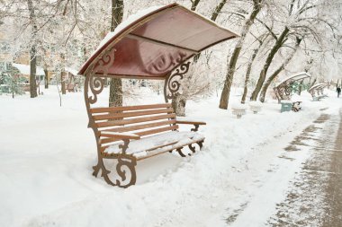 Khabarovsk Kültür ve Rekreasyon Parkı, Rusya Sabahın köründe yoğun kar yağışı sonrasında. Karda ağaçlar.
