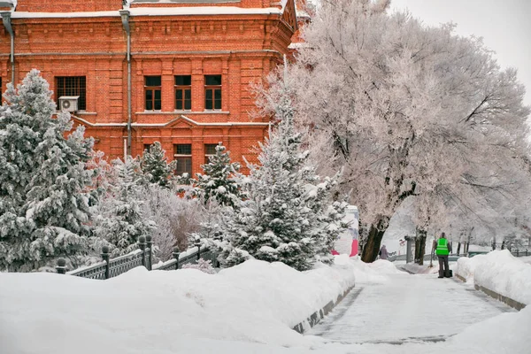Alberi innevati intorno al Khabarovsk Museum of Local Lore dopo pesanti nevicate al mattino all'alba. Alberi nella neve. Russia, Estremo Oriente. — Foto Stock