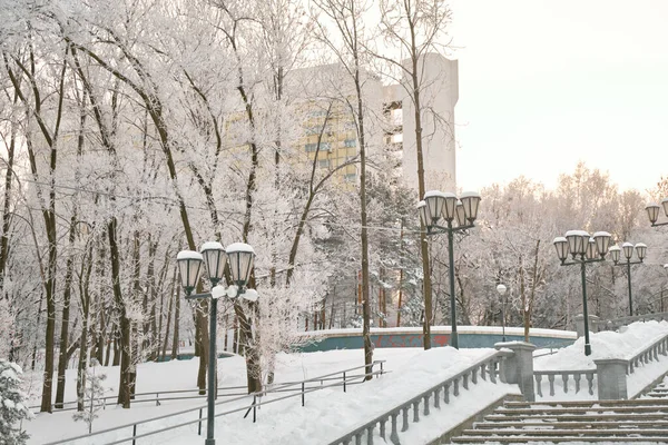 Парк культуры и отдыха Хабаровска, Россия после сильного снегопада утром на рассвете. Деревья в снегу. — стоковое фото