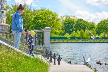 Anne ve kızı, şehrin göletindeki ördek ve martılara ekmek kırıntıları yediriyor..