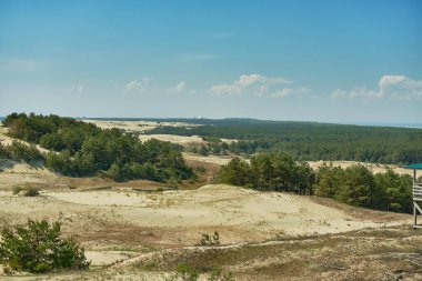 Kum tepeleri Rus Curonian Spit bölüm. Kaliningrad bölgesi, Rusya Federasyonu