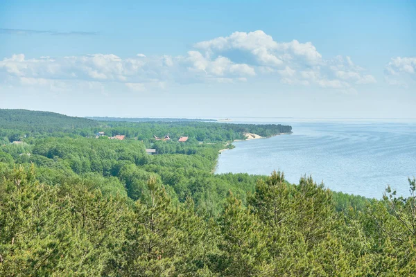 Wydmy Rosyjskiego Część Mierzei Kurońskiej Kaliningrad Region Federacja Rosyjska — Zdjęcie stockowe