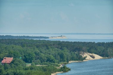 Kum tepeleri Rus Curonian Spit bölüm. Kaliningrad bölgesi, Rusya Federasyonu