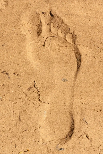 Pegada em areia seca — Fotografia de Stock