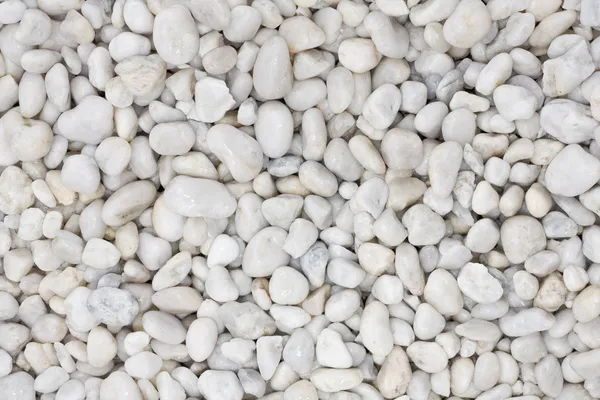 White Pebbles — Stock Photo, Image