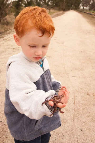 Boy examining handful of worms — Stock Photo, Image