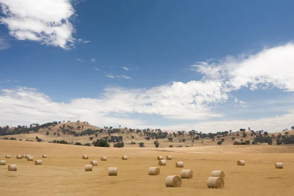 Στρογγυλό μπάλες σανό στο Αυστραλιανό fam τοπίο — Φωτογραφία Αρχείου