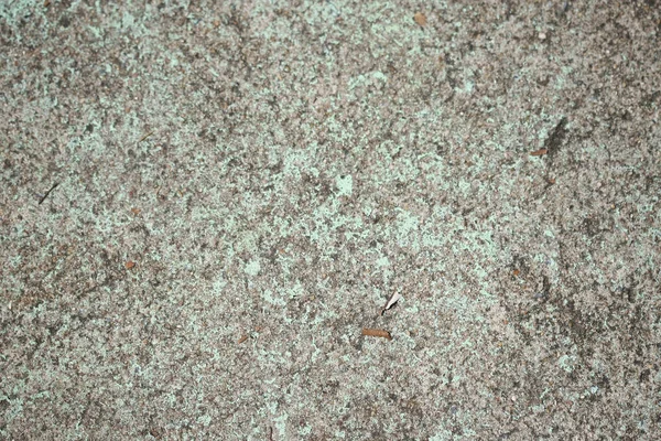 Betong Cement Textur Bakgrund Tapet — Stockfoto