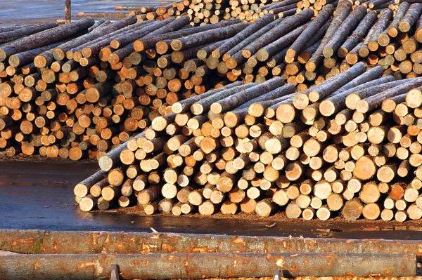 Hout molen log stapel — Stockfoto