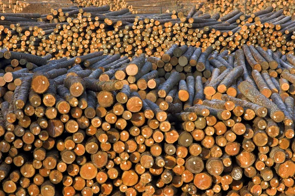 Lumber Mill Log Pile — Stock Photo, Image