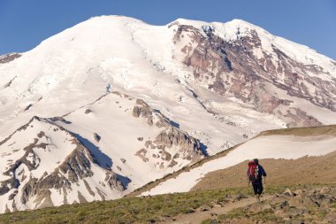 mt. rainier ve fiyatı