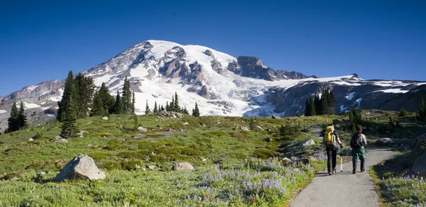 Wonderland Trail — Stock Photo, Image