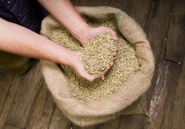 Kaffefrön — Stockfoto