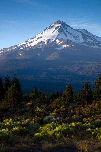 Monte shasta — Fotografia de Stock