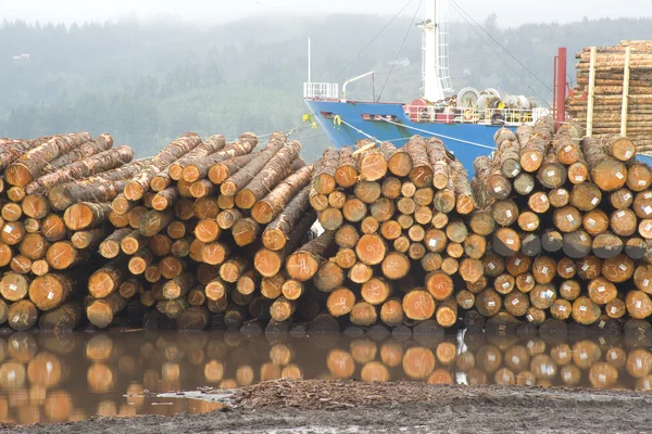 Logboekregistratie scheepswerf — Stockfoto