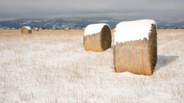 Campo de nieve Campo de granjero Heno Pacas de paja — Foto de Stock