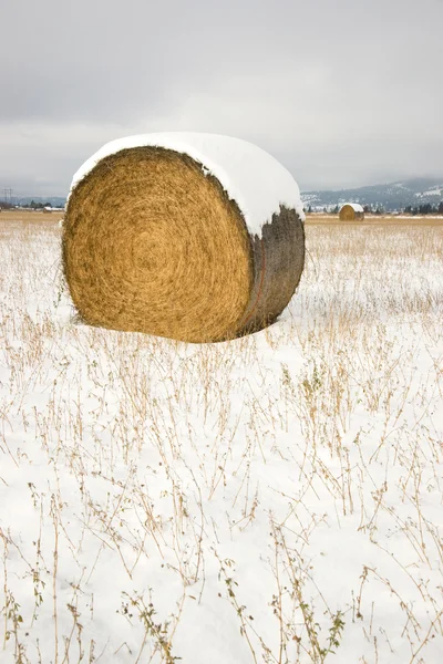 Schneefeld Bauern Stroh Lorbeer Schnee bedeckt — Stockfoto