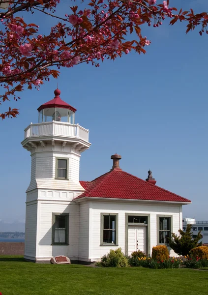 Västkusten fyr färja lönn träd puget sound washington — Stockfoto