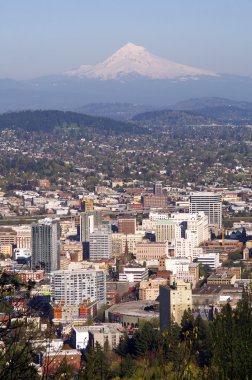 portland skyline şehir mimarisi bina mt hood cascade Dağları