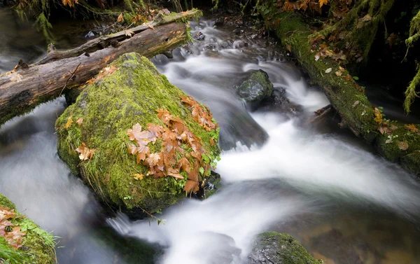 Munson Creek Long Exposure Big Rocks no rio — Fotografia de Stock