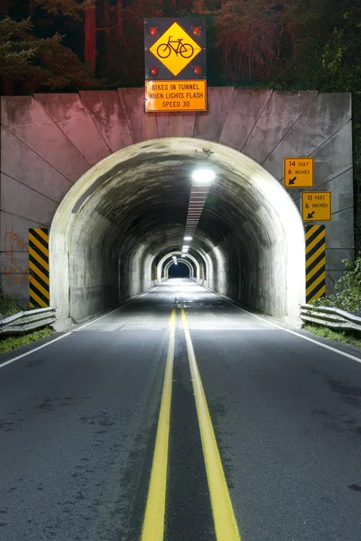 Road tunnel genom berget kustnära motorväg 101 oregon territorium usa — Stockfoto