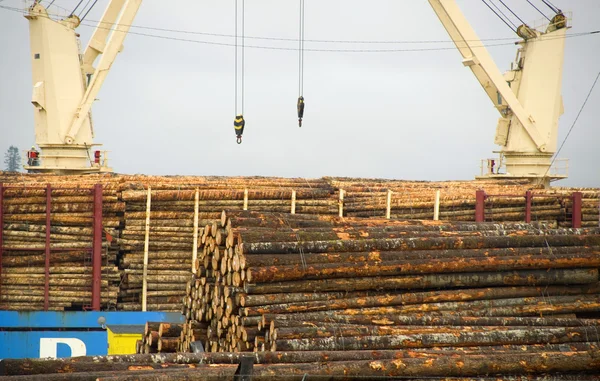 Kraan gieken laden houten logboeken ruwe product voor export lokale poort van de oproep — Stockfoto