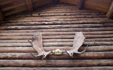 Moose Antlers on Log Cabin Outdoor Alaska clipart