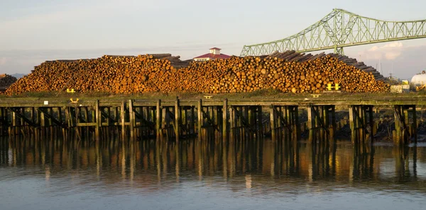 Log Pier Wood Tree Trunk Sections Waiting for Export — Stock Photo, Image