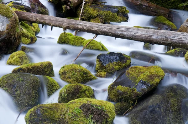 Moos gefüllte Felsbrocken füllen Bach, als Wasser vorbeirauscht — Stockfoto