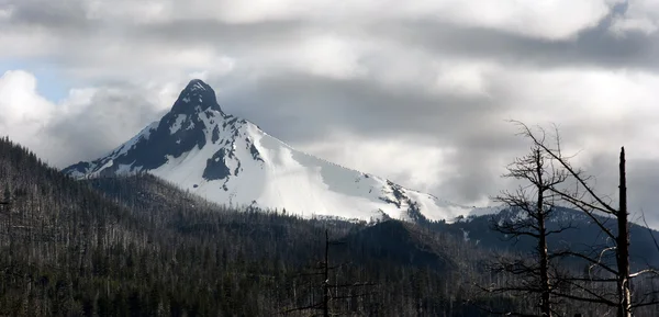 Montanha queimada irregular de pico monte washington oregon cascade range — Fotografia de Stock