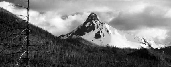 不規則な燃やされた山ピーク山ワシントン オレゴン州カスケード山脈 — ストック写真