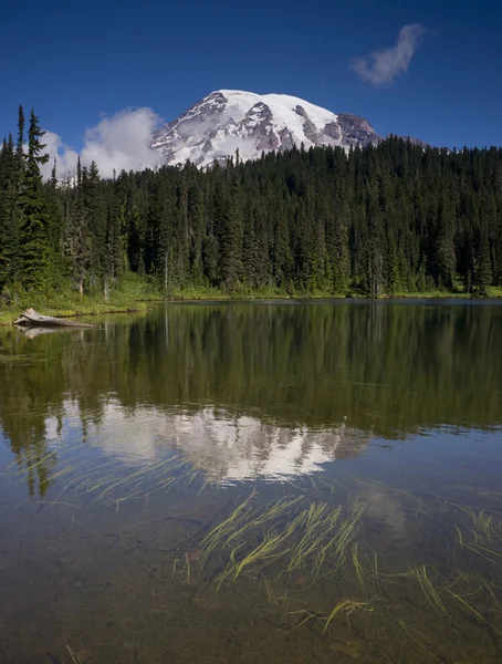 Composición vertical Mt. Rainier espejo reflejo lago cascada —  Fotos de Stock
