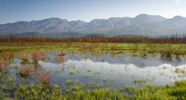 Malerische Sumpfwasser panoramische Berglandschaft Outback alaska — Stockfoto