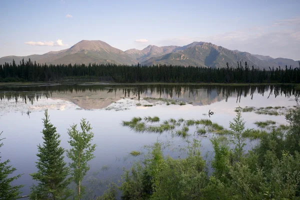 Malebné marsh vody panoramatické horské krajiny vnitrozemí Aljašky — Stock fotografie