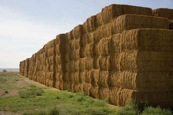 Las balas de heno en la enorme pila en la esquina de los agricultores Grapas de granja de campo — Foto de Stock