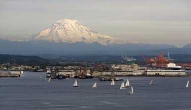 yelkenli tekne yarışı başlamasından defne puget sound mt rainier tacoma