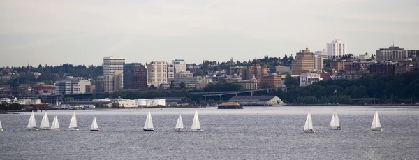 Plachetnice Regata zahájení zátoky puget sound dpwntown město taco — Stock fotografie