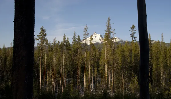 Thielsen 大きな cowhorn 死火山オレゴン高カスケードをマウントします。 — ストック写真