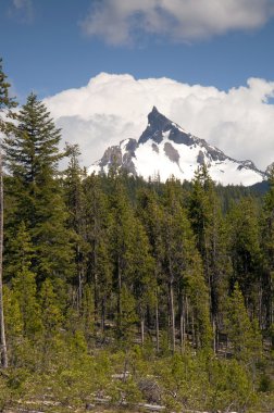 büyük cowhorn mt. thielsen yanardağ oregon cascade aralığı