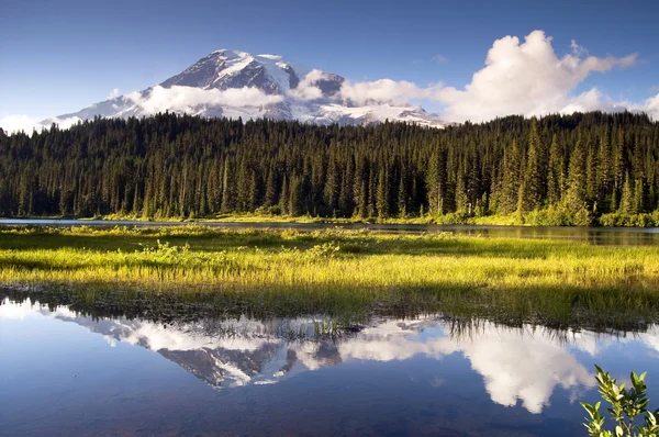Cor saturada no Lago Reflexão Mt. Parque Nacional Rainier — Fotografia de Stock