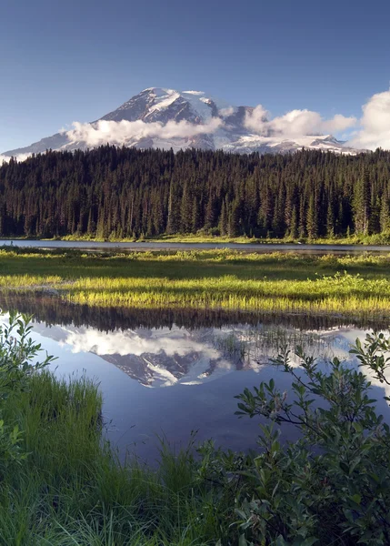 Syté barvy v reflexe jezero mt. rainier national park — Stock fotografie