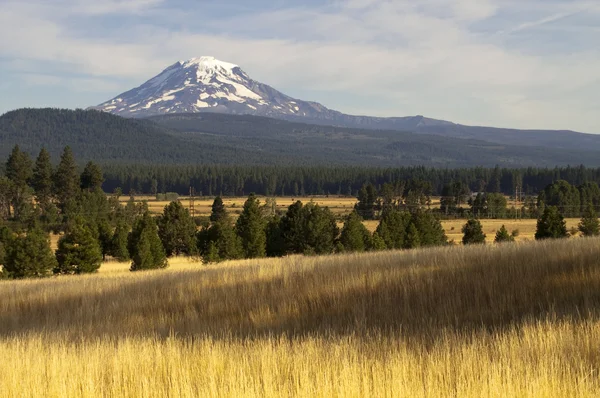 Zlaté louky krajinu, kterou mount adams horské zemědělské pozemky — Stock fotografie