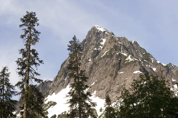 Rugged Jagged Peak North Cascade Mountain Range Washington State — Stock Photo, Image